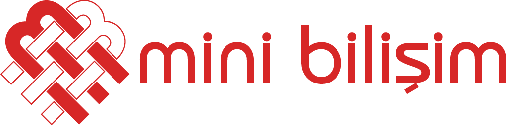 Mini Bilişim